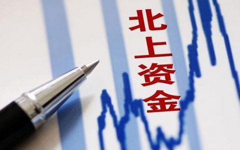 什么叫涨停股